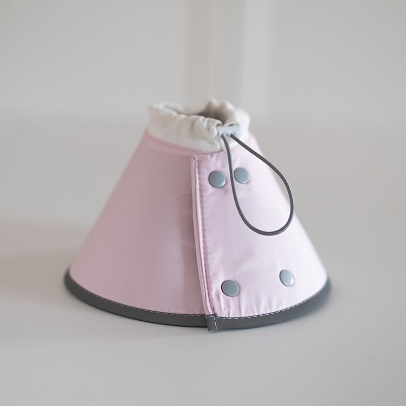 KFX-2502589 Fashionable Waterproof Pet Collar and Headgear for Dogs and Cats in Multiple Colors