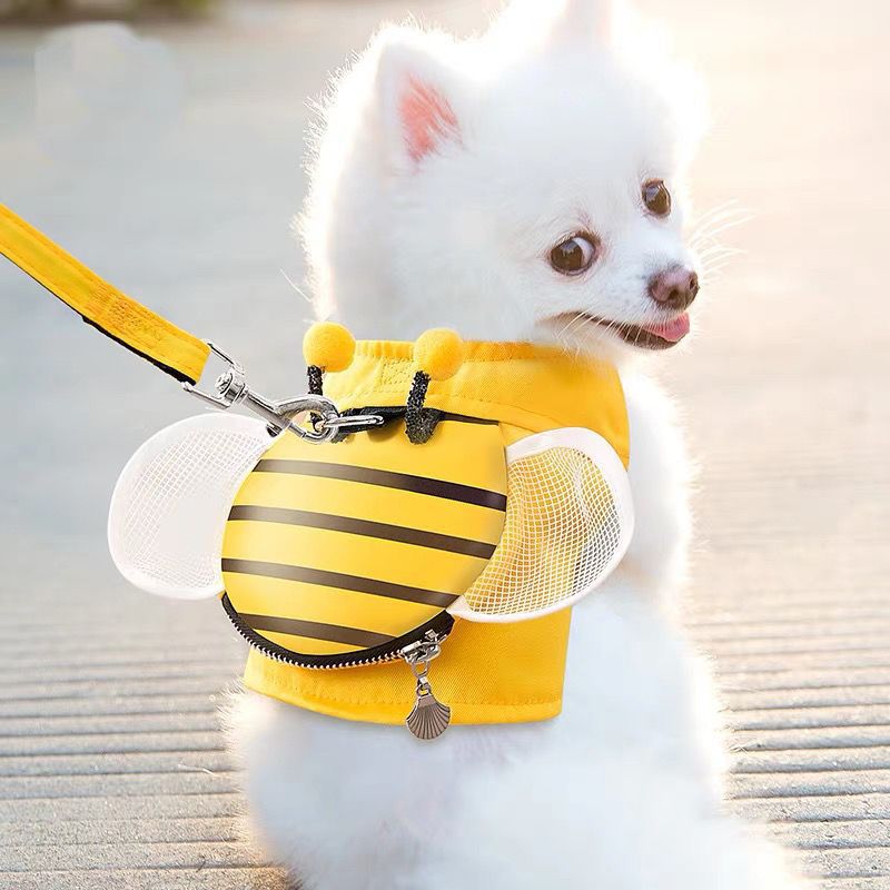 KFX-2508349 Stylish Bee Suspender Set with Cat Harness and Leash for Fun Walks