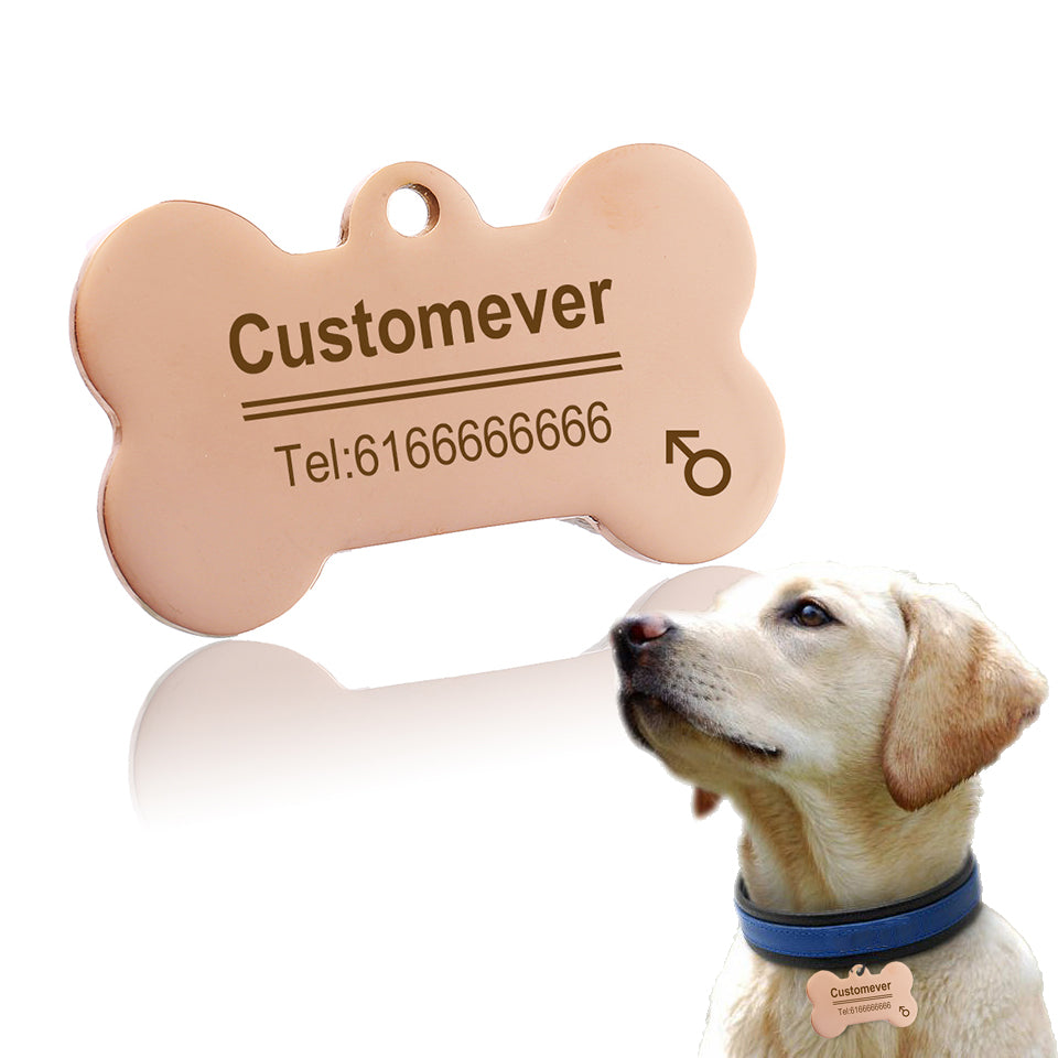 KFX-2515261 Titanium Steel Personalized Pet ID Tag - Durable Anti-Lost Design in Various Shapes