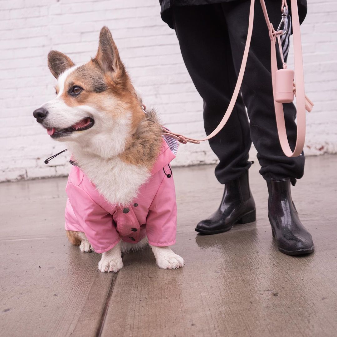 KFX-2525757 Windproof Retro Padded Raincoat for Dogs in Yellow, Pink, Red, Dark Blue - Multiple Sizes Available