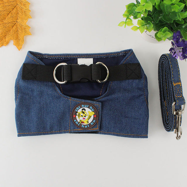 KFX-2527421 Stylish Denim Star Dog Leash for Small to Large Breeds