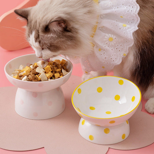 KFX-2530109 High Foot Ceramic Pet Bowl with Spine Protection - Multiple Color Options