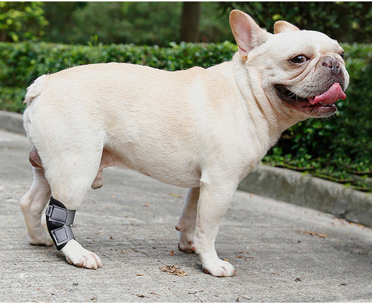 KFX-2530749 Dog Leg Recovery Cover - Neoprene Protective Wrap, Black, Multiple Sizes Available