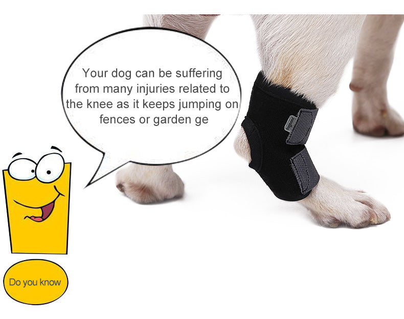 KFX-2530749 Dog Leg Recovery Cover - Neoprene Protective Wrap, Black, Multiple Sizes Available