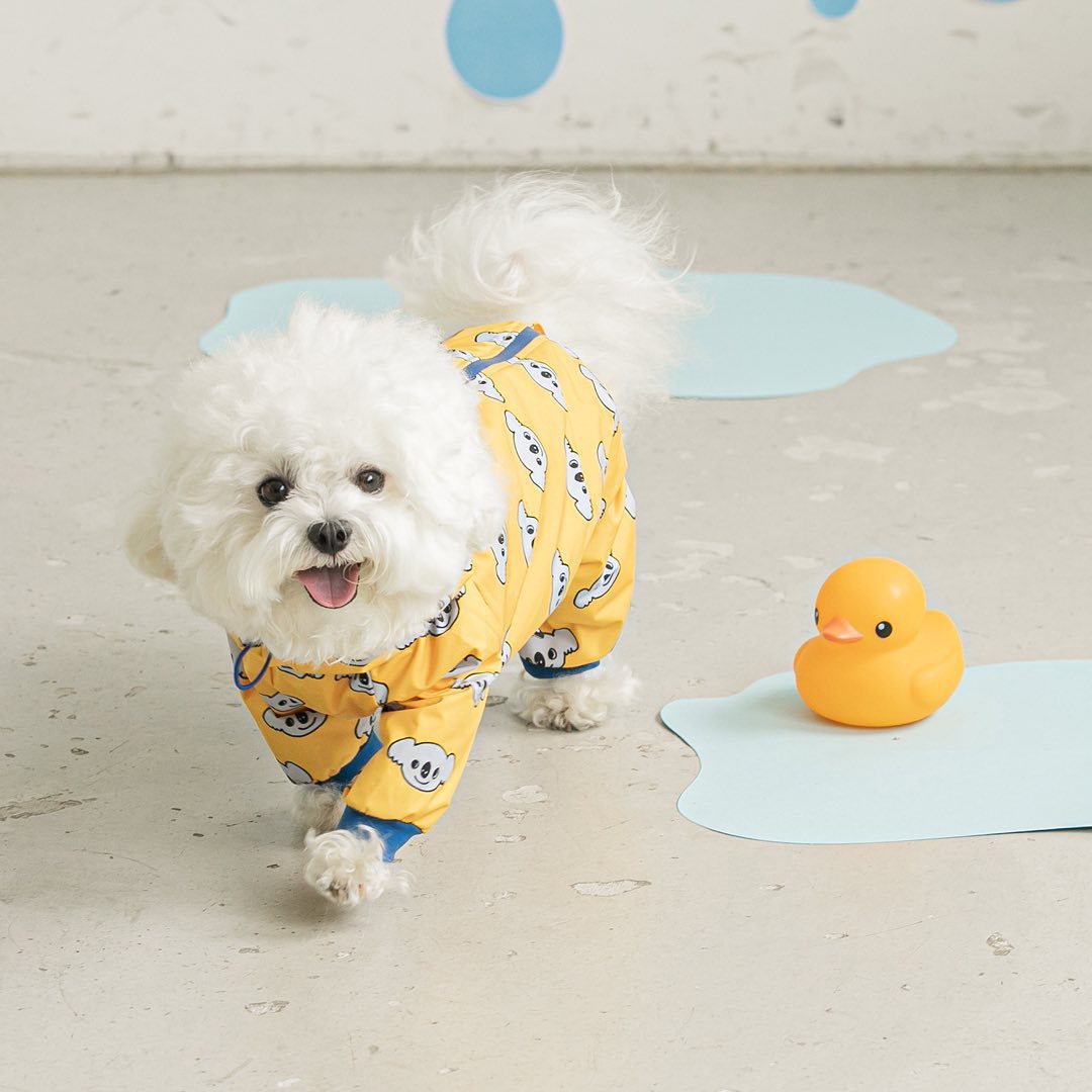 KFX-2532285 Waterproof All-Around Raincoat for Dogs - Available in Blue, Yellow, White, Multiple Sizes