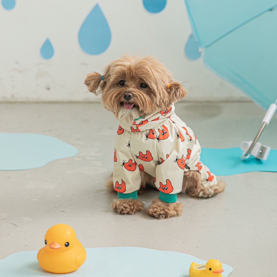 KFX-2532285 Waterproof All-Around Raincoat for Dogs - Available in Blue, Yellow, White, Multiple Sizes