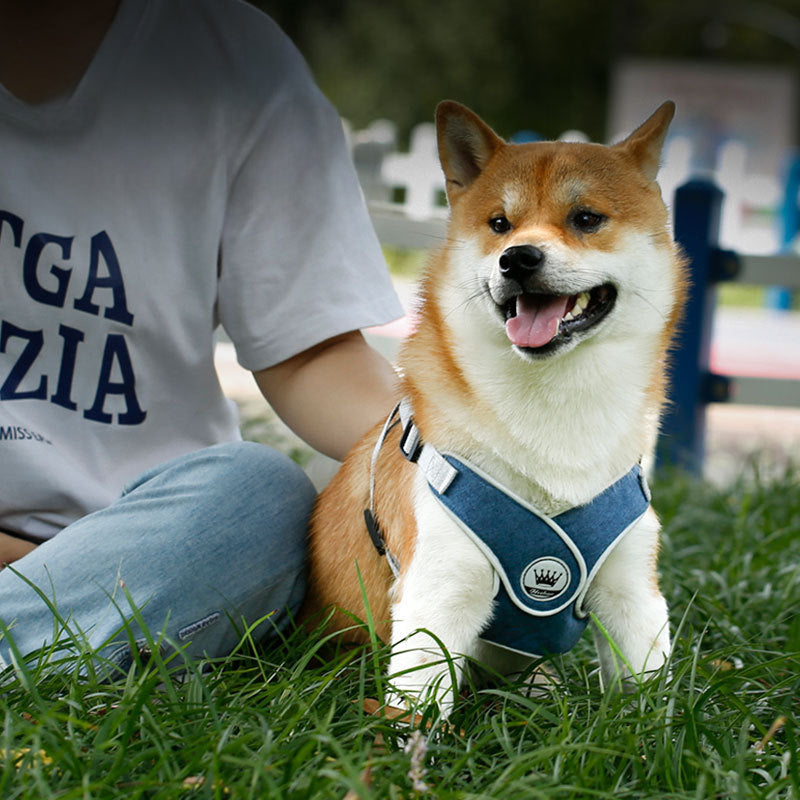 KFX-2537149 Adjustable Reflective Mesh Dog and Cat Harness Vest with Chest Strap for Small to Large Pets - Includes Leash