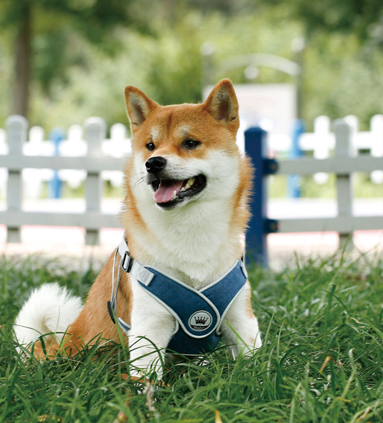 KFX-2537149 Adjustable Reflective Mesh Dog and Cat Harness Vest with Chest Strap for Small to Large Pets - Includes Leash