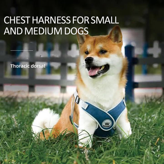KFX-2537149 Adjustable Reflective Mesh Dog and Cat Harness Vest with Chest Strap for Small to Large Pets - Includes Leash