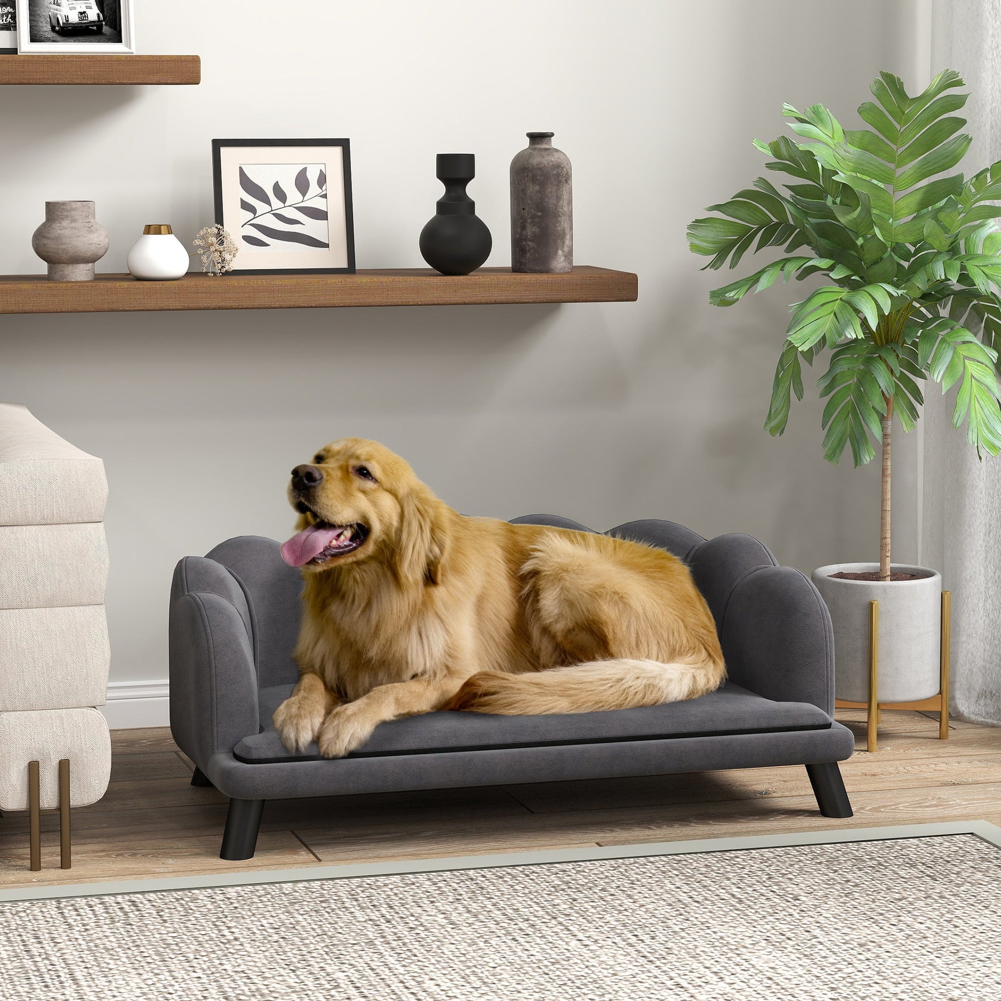 KFX-2538301 Elegant Velvet Pet Sofa for Medium and Large Dogs with Removable Cushion and Birch Wood Legs