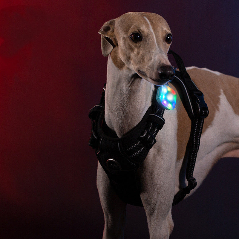 KFX-2541629 Colorful Waterproof LED Navigation Light for Pets – Rechargeable Lithium Battery, High Brightness
