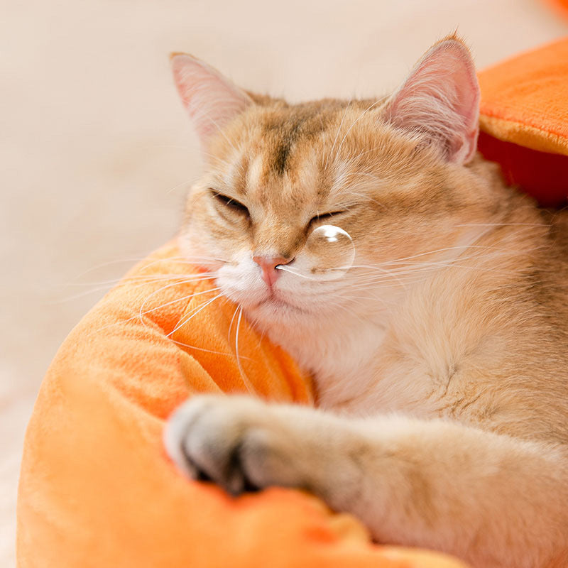 KFX-2555197 Carrot-shaped Soft Semi-closed Cat Nest for Cats up to 15 lbs - Washable, Non-slip Design