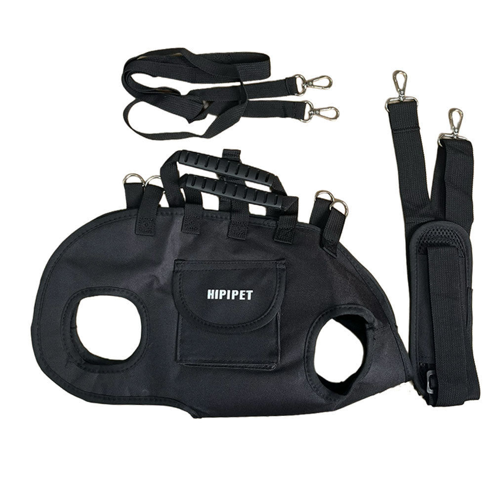 KFX-2558525 Outdoor Traction Backpack Set for Dogs and Cats with Leash and Harness, Breathable Design for Carrying Comfort