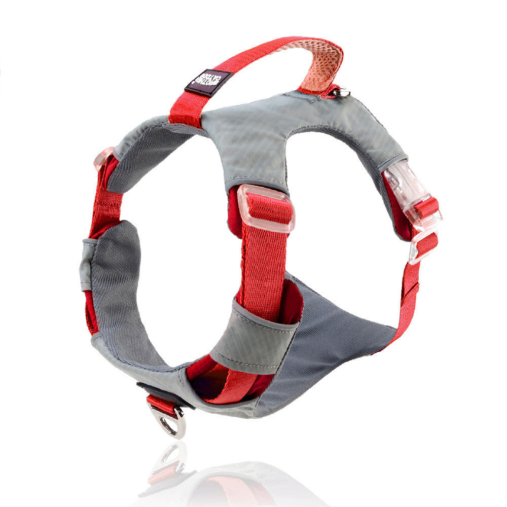 KFX-2560189 Adjustable Nylon Chest Strap and Leash Storage Bag for Pets - Available in Multiple Sizes and Colors