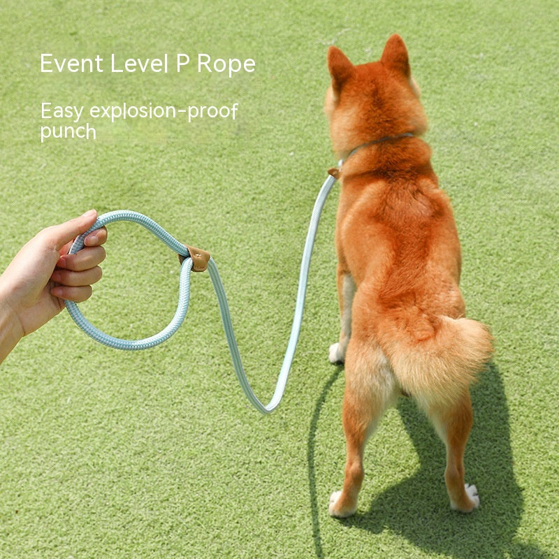 KFX-2560701 Hand-Held Nylon Leash for Dogs - Multiple Color Options Available