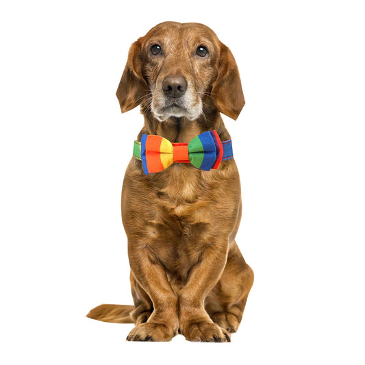 KFX-2564669 Rainbow Bow Tie Pet Collar for Cats and Dogs, Leisure Style, Multiple Sizes Available