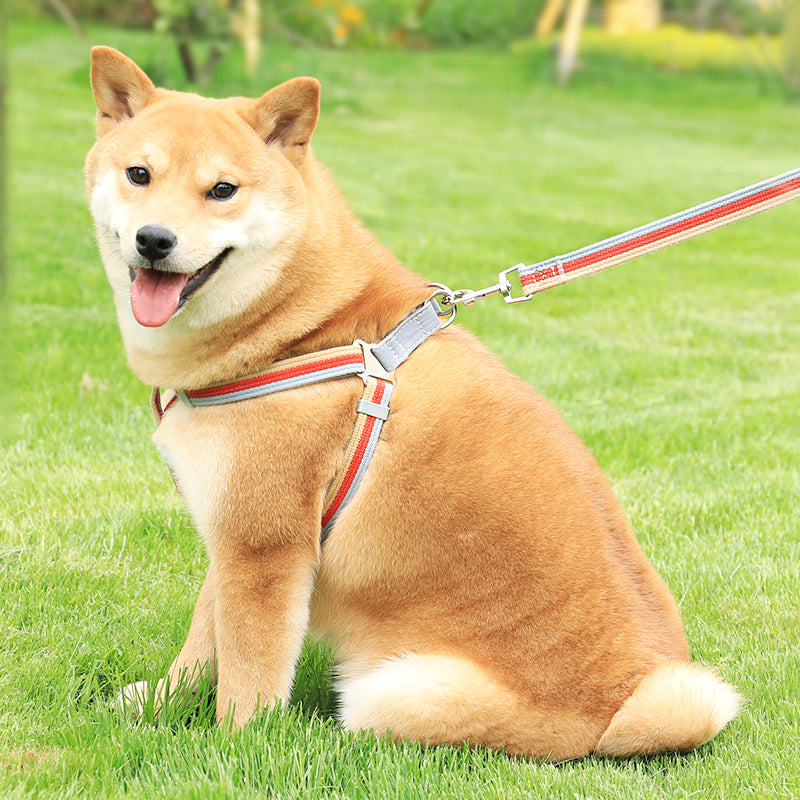 KFX-2565949 Reflective Polyester Chest Harness for Small and Medium Pets in Blue, Red, Pink