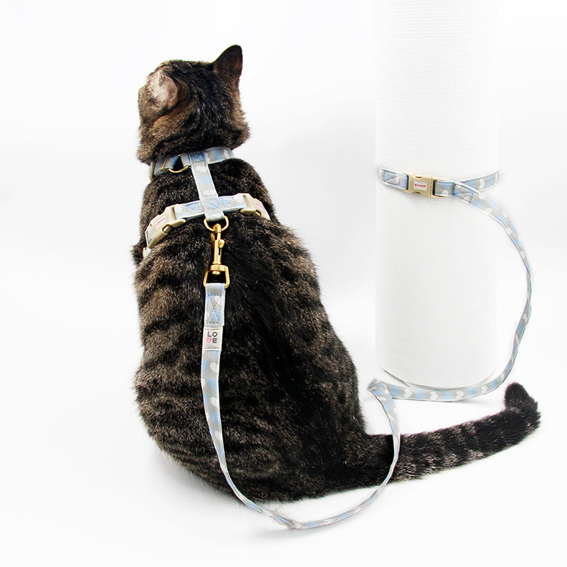 KFX-2572221 Bright Color Non-Stretch Cat and Dog Traction Rope with Adjustable Collar