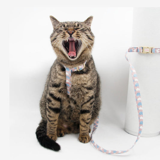 KFX-2572221 Bright Color Non-Stretch Cat and Dog Traction Rope with Adjustable Collar