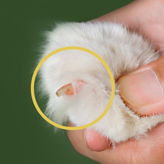KFX-2576189 Manual Nail Clippers for Cats with Round Hole Design - Even Stress Cutting