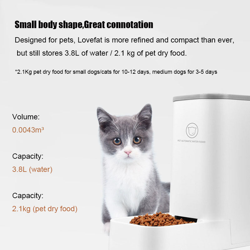 KFX-2578365 Large-Capacity Detachable Bowl Pet Water Feeder with 3.8L Water Storage and 2.1kg Dry Food Capacity