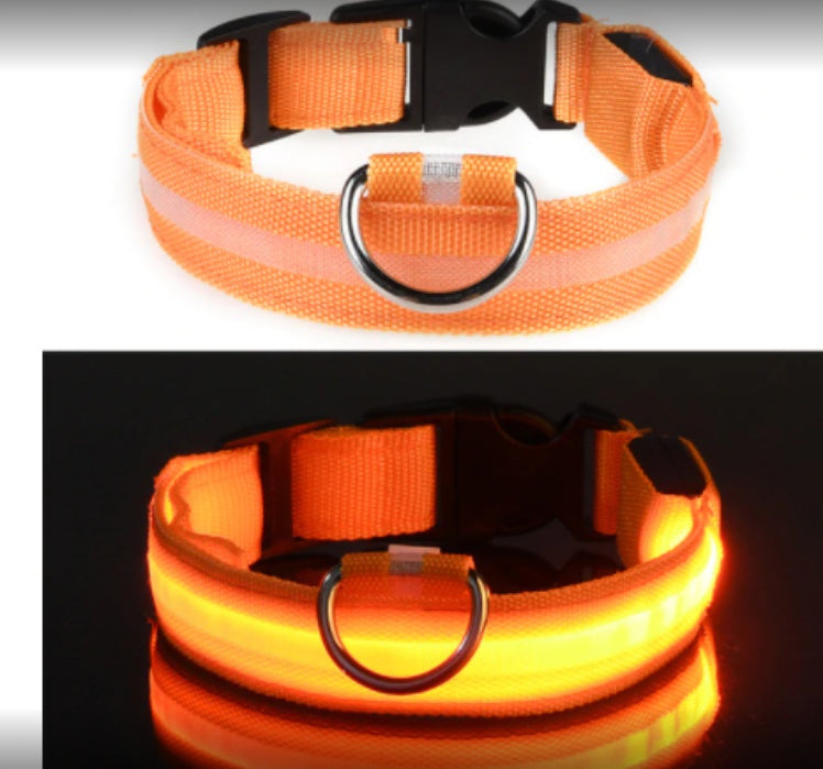 KFX-2580157 Waterproof Fiber Optic Magnetic Charging Pet Collar with Reflective Safety Modes