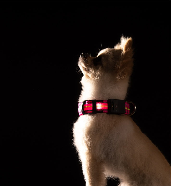 KFX-2580157 Waterproof Fiber Optic Magnetic Charging Pet Collar with Reflective Safety Modes