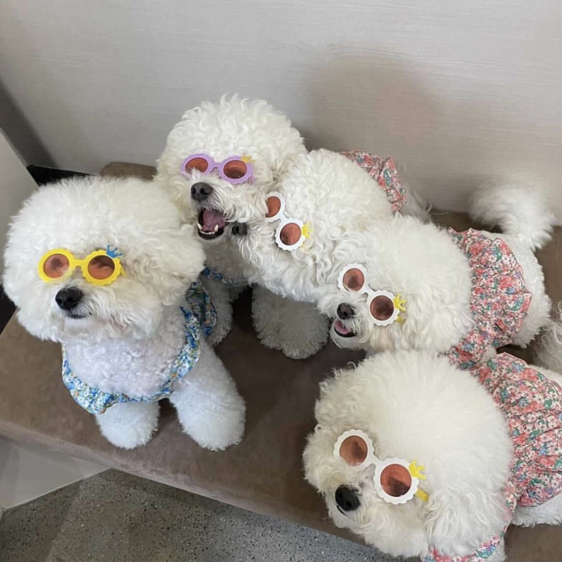 KFX-2585533 Cute Round Frame Sunglasses for Pets - Pink, Black, and Colored Lenses - Full Frame Design