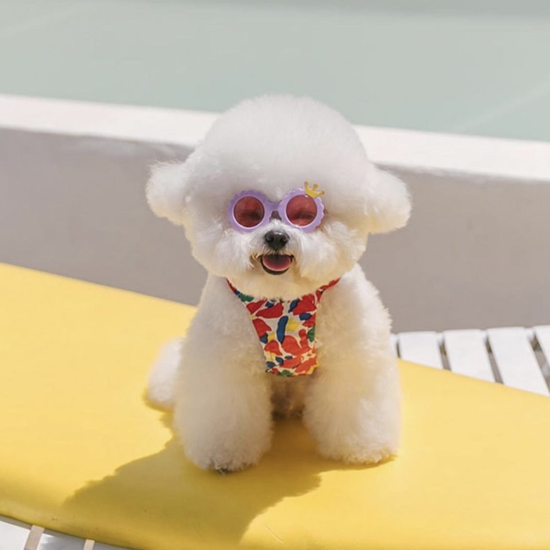 KFX-2585533 Cute Round Frame Sunglasses for Pets - Pink, Black, and Colored Lenses - Full Frame Design