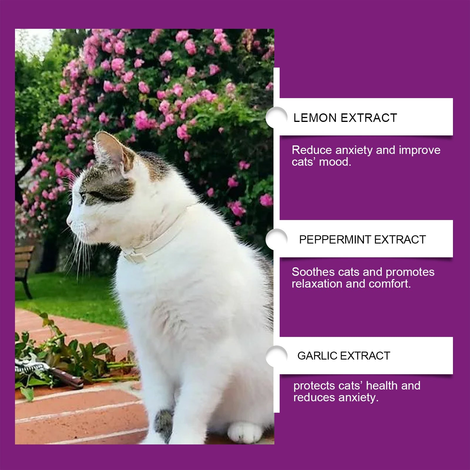 KFX-2585789 Soothing Cat Mood Spray with Lemon, Mint, and Garlic Extract - 3.2x12cm