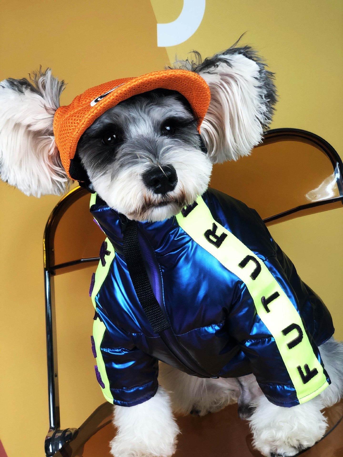 KFX-2586301 Embroidered Down Jacket for Small and Medium-Sized Dogs