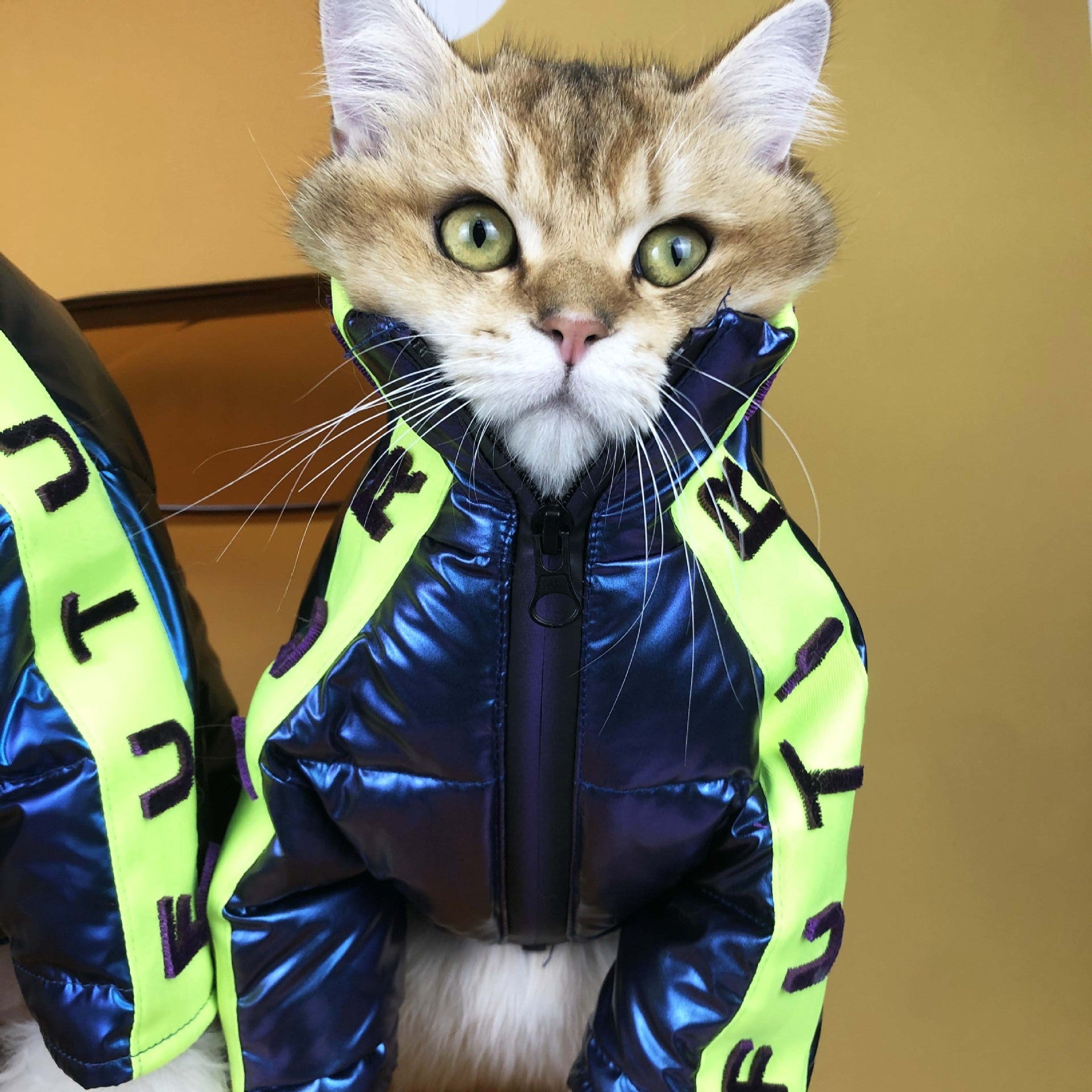 KFX-2586301 Embroidered Down Jacket for Small and Medium-Sized Dogs