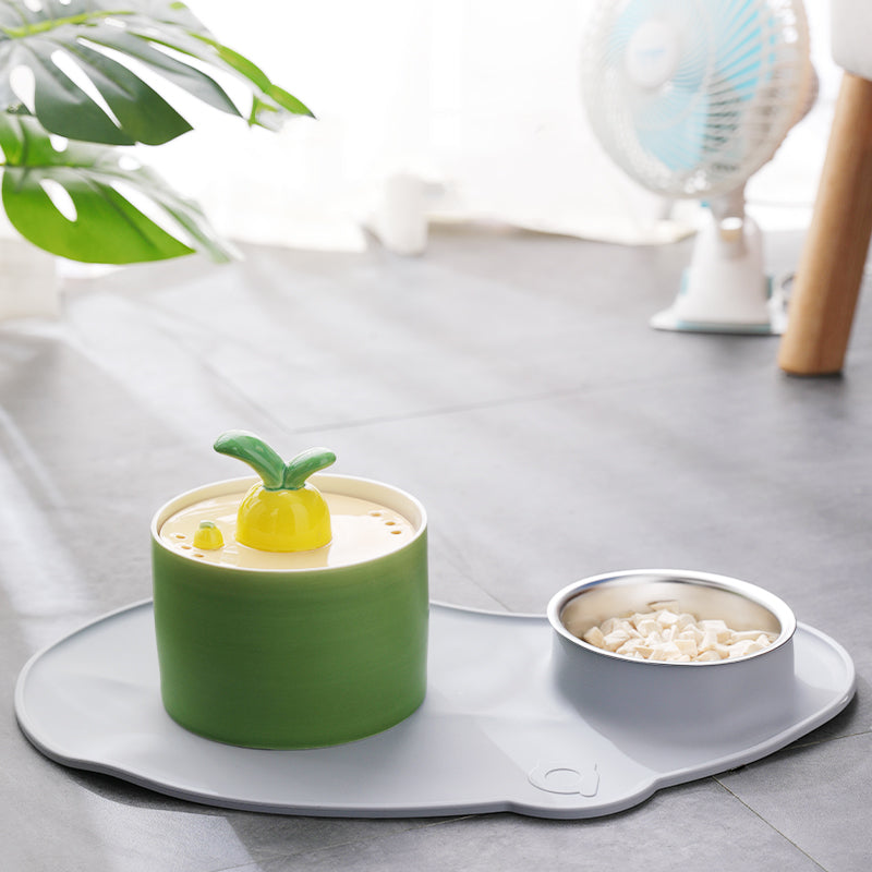 KFX-2595517 Rabbit and Radish Pet Water Dispensers with Optional Placemat and Bowl