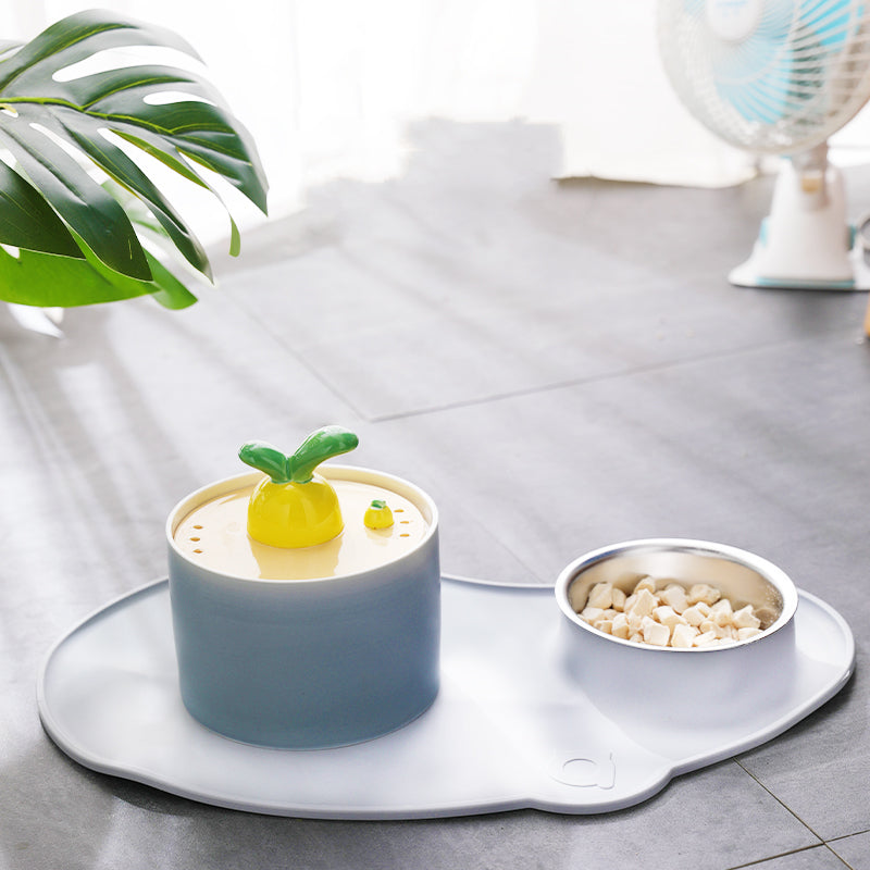 KFX-2595517 Rabbit and Radish Pet Water Dispensers with Optional Placemat and Bowl