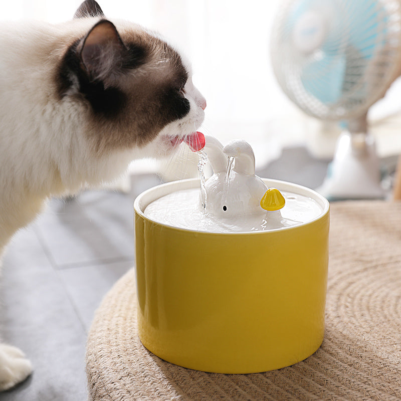 KFX-2595517 Rabbit and Radish Pet Water Dispensers with Optional Placemat and Bowl