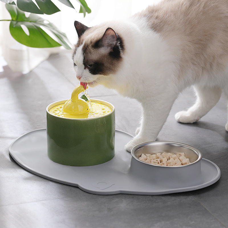 KFX-2595517 Rabbit and Radish Pet Water Dispensers with Optional Placemat and Bowl