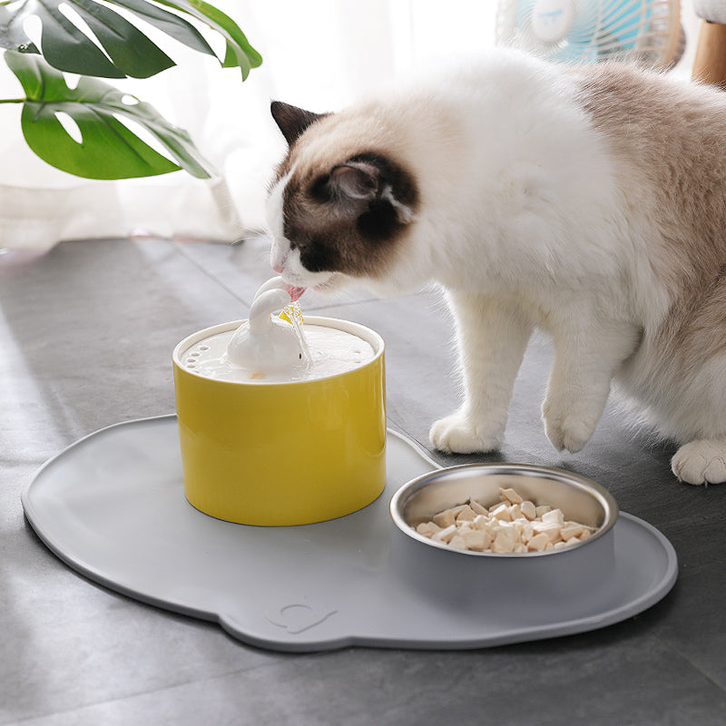 KFX-2595517 Rabbit and Radish Pet Water Dispensers with Optional Placemat and Bowl