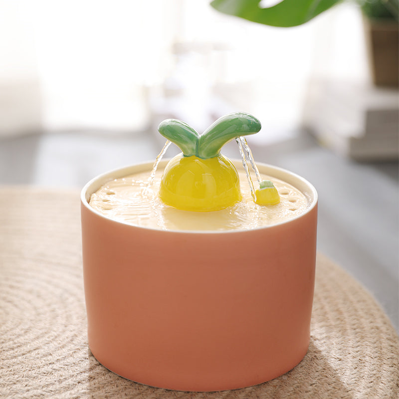 KFX-2595517 Rabbit and Radish Pet Water Dispensers with Optional Placemat and Bowl