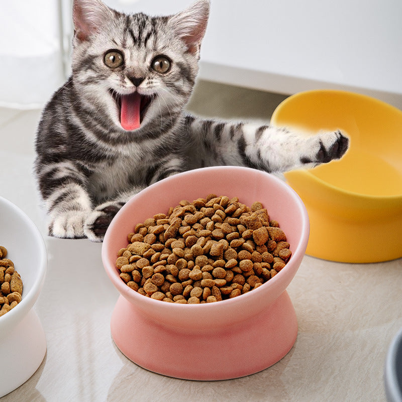 KFX-2595645 Ceramic Pet Bowl with High Foot and Oblique Mouth Design in Multiple Solid Colors