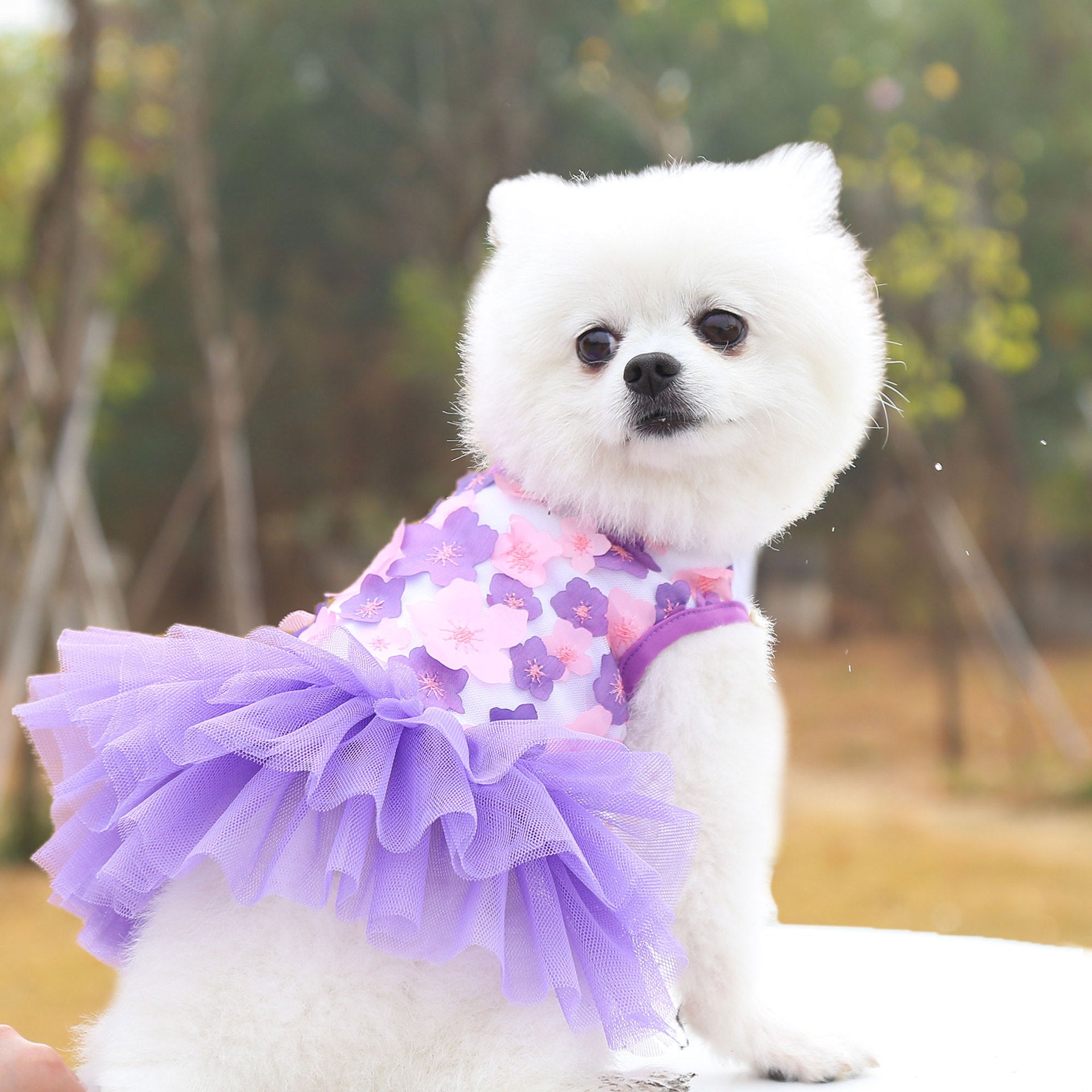 KFX-2597821 Pet Dog Cotton Skirt in Pink, Purple, and White Peach Blossom Designs