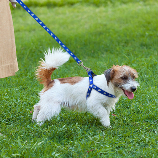 KFX-2604477 Adjustable Nylon Dog Harness and Leash Set with Paw Print Design for Small to Medium Dogs