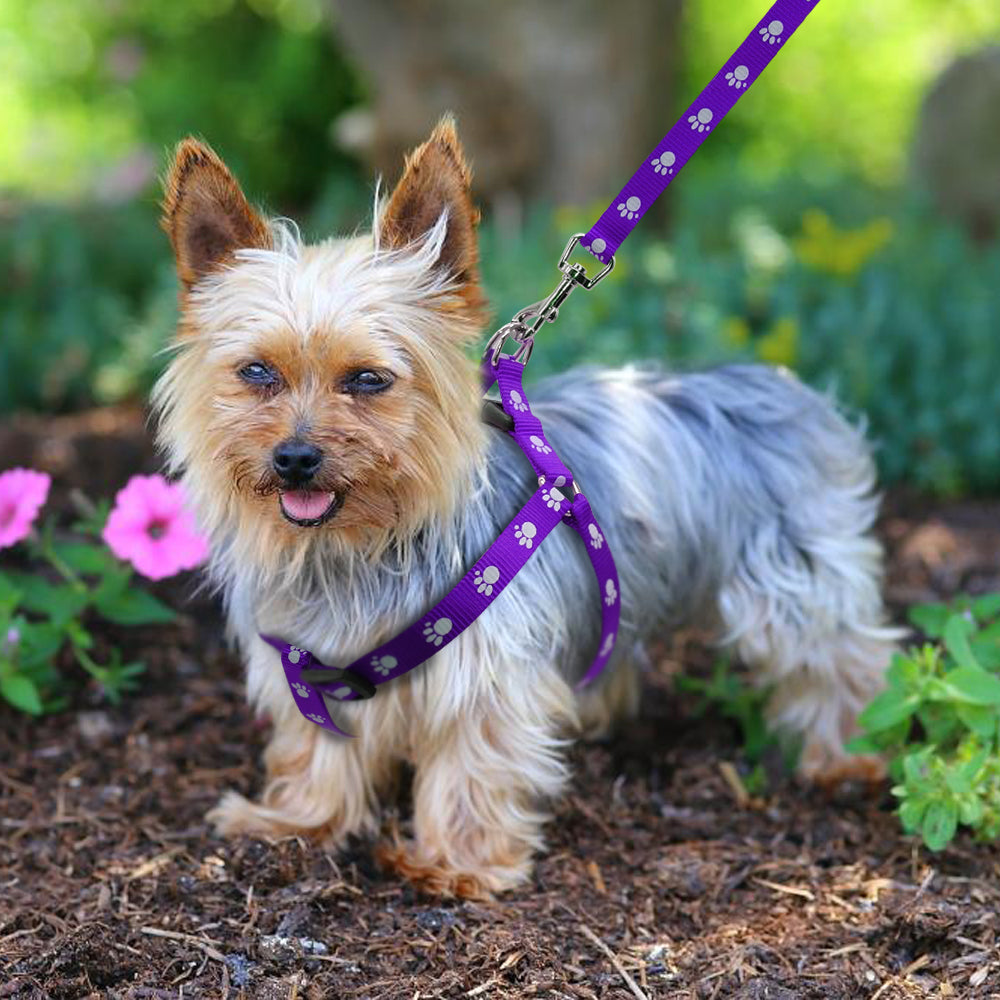 KFX-2604477 Adjustable Nylon Dog Harness and Leash Set with Paw Print Design for Small to Medium Dogs