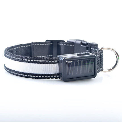 KFX-2607165 Solar Rechargeable LED Pet Dog Collar with Reflective Nylon and Multiple Colors Available