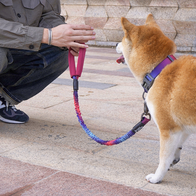 KFX-2620477 High Elastic Nylon Pet Traction Rope - Adjustable Length, Multiple Colors Available