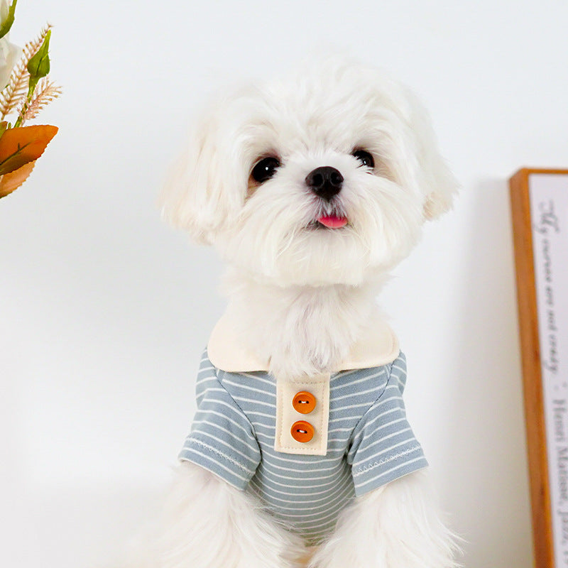KFX-2623037 Striped Cotton T-Shirt for Small Dogs - Bichon, Pomeranian, & Teddy Breeds