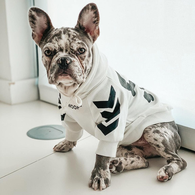 KFX-2637629 Winter Hooded Dog Jacket for Casual Wear - Sizing Advice Included