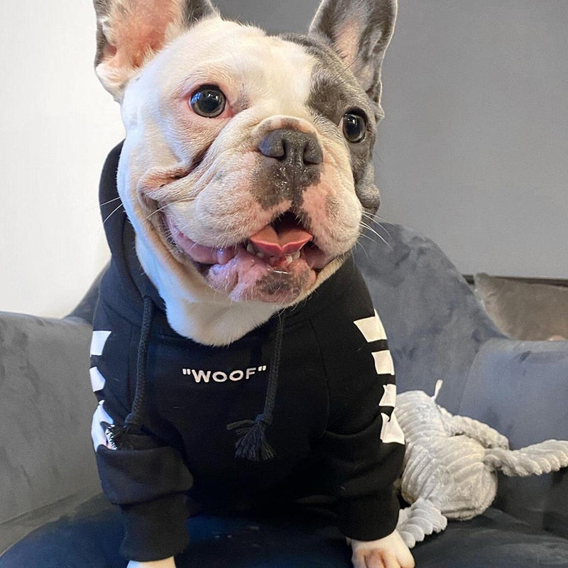 KFX-2637629 Winter Hooded Dog Jacket for Casual Wear - Sizing Advice Included