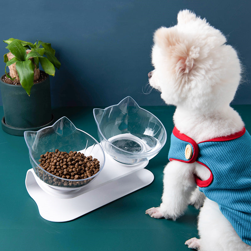 KFX-2643901 Transparent Cat Bowl with Inclined Design for Easy Eating and Comfort