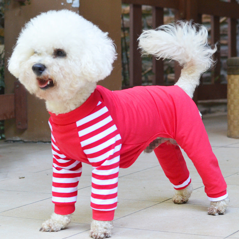 KFX-2646077 Cotton Teddy Bear Costume for Dogs - Cozy Four-Legged Outfit