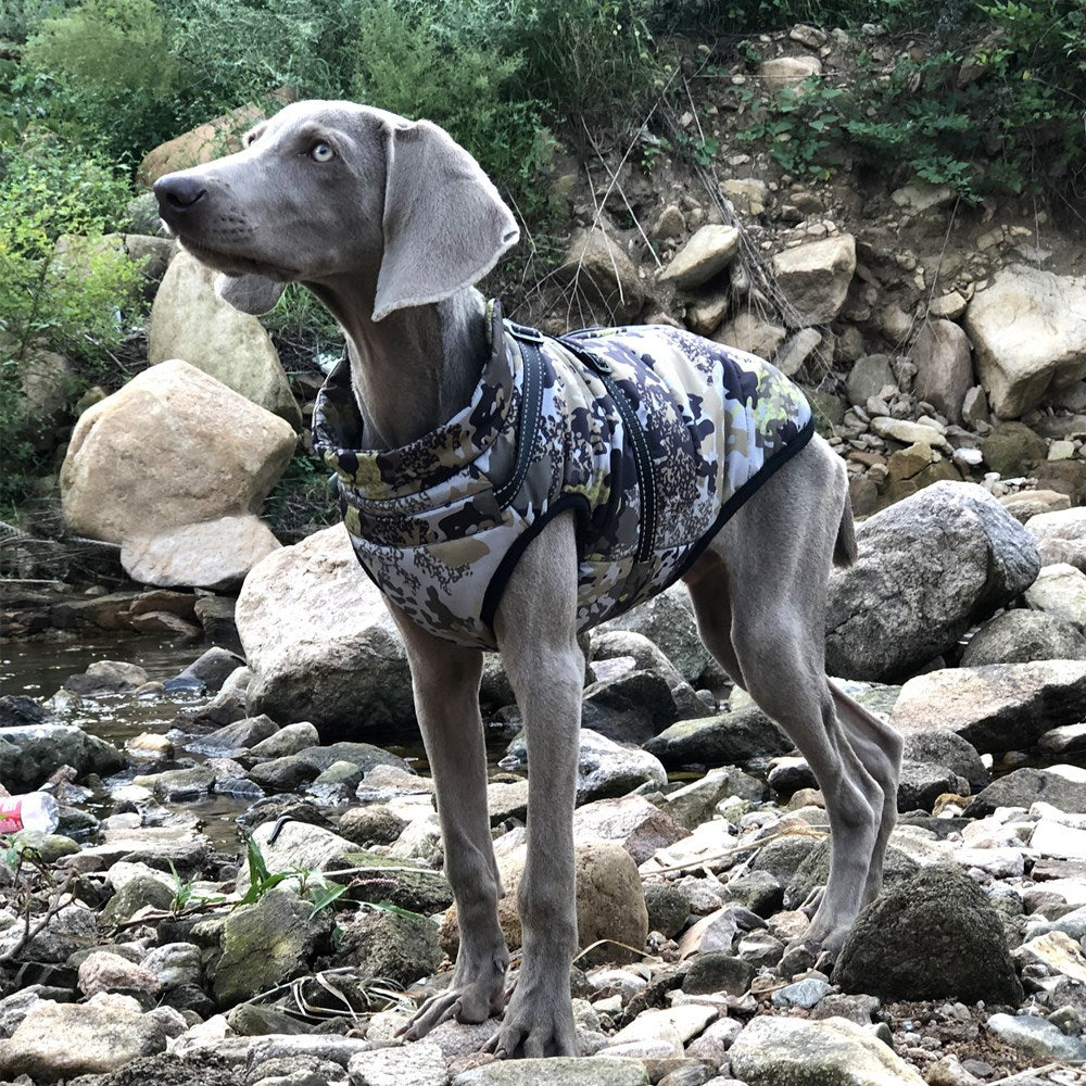 KFX-2648125 Waterproof Reflective Forest Green Cotton-Padded Jacket for Large Dogs